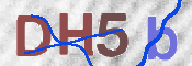 CAPTCHA 验证图片