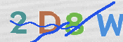 CAPTCHA 验证图片