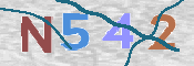 CAPTCHA 验证图片
