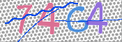 CAPTCHA 驗證圖片