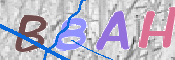 CAPTCHA 驗證圖片