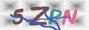CAPTCHA 验证图片