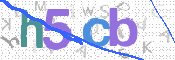 CAPTCHA 验证图片