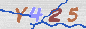 CAPTCHA 验证图片