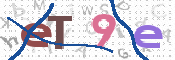 CAPTCHA 验证图片