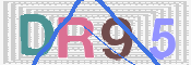 CAPTCHA 验证图片