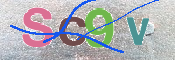 CAPTCHA 验证图片