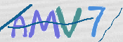 CAPTCHA 验证图片