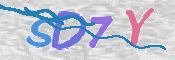 CAPTCHA 验证图片