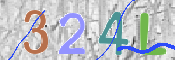 CAPTCHA 驗證圖片