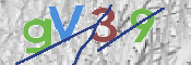 CAPTCHA 验证图片