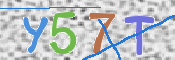 CAPTCHA 验证图片