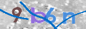 CAPTCHA 验证图片
