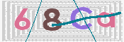 CAPTCHA 验证图片