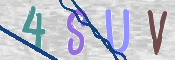 CAPTCHA 验证图片