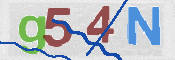 CAPTCHA 验证图片