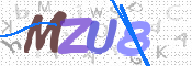 CAPTCHA 验证图片
