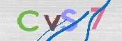 CAPTCHA 验证图片