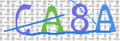 CAPTCHA 驗證圖片