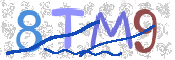 CAPTCHA 驗證圖片