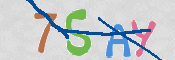 CAPTCHA 验证图片