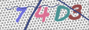CAPTCHA 验证图片