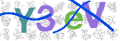 CAPTCHA 验证图片