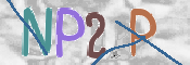 CAPTCHA 验证图片