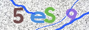 CAPTCHA 验证图片