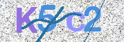 CAPTCHA 验证图片