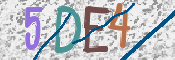 CAPTCHA 驗證圖片