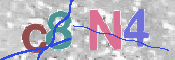 CAPTCHA 验证图片