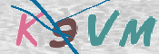 CAPTCHA 验证图片