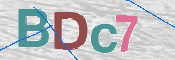 CAPTCHA 验证图片