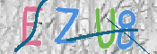 CAPTCHA 驗證圖片