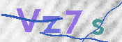 CAPTCHA 验证图片
