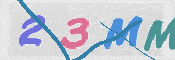 CAPTCHA 验证图片