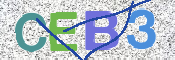 CAPTCHA 验证图片