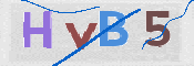 CAPTCHA 验证图片