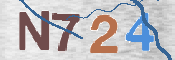 CAPTCHA 验证图片