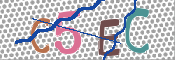 CAPTCHA 验证图片