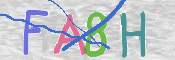 CAPTCHA 验证图片