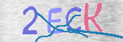 CAPTCHA 验证图片