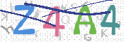 CAPTCHA 验证图片