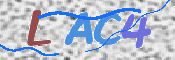 CAPTCHA 验证图片