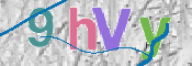 CAPTCHA 验证图片