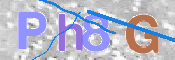 CAPTCHA 验证图片