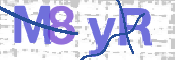 CAPTCHA 验证图片