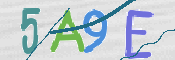 CAPTCHA 验证图片
