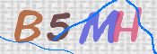 CAPTCHA 验证图片